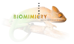 Biomimicry centre logo